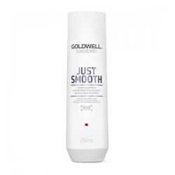 Goldwell Dualsenses Just Smooth Taming Shampoo - Разглаживающий шампунь для непослушных волос 250мл